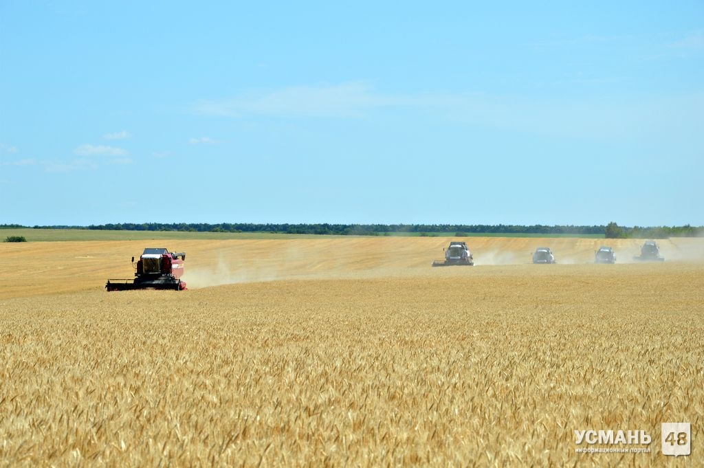 Пять районов Липецкой области приступили к уборке урожая