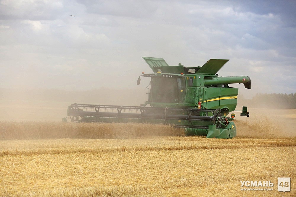 Первый миллион тонн зерна намолочен в Липецкой области