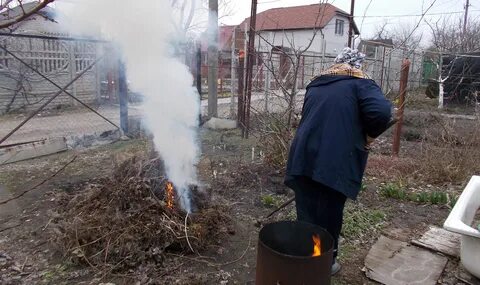 В России с 1 января на территории частных домов запретят сжигать мусор и разводить костры