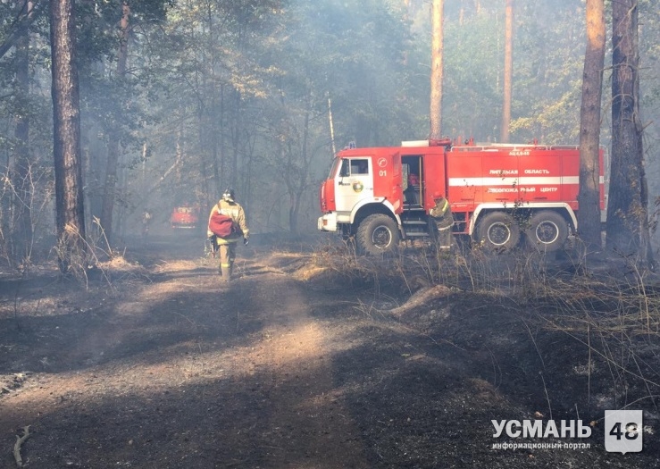 В лесах области - V и IV классы пожарной опасности