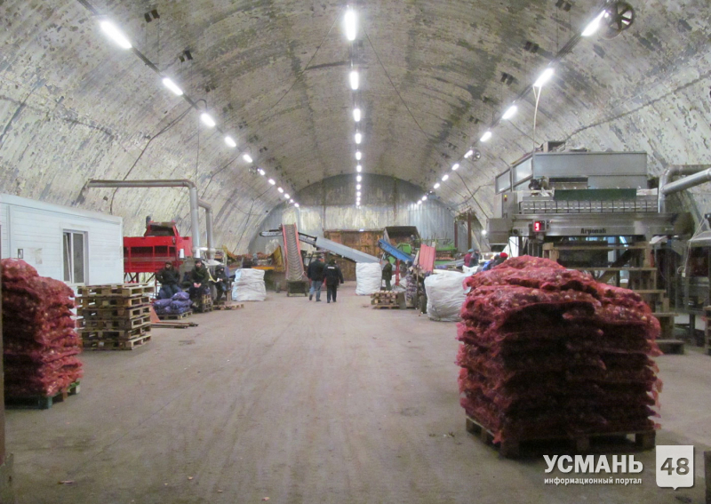 В Усманском районе раскрыта кража продукции с сельскохозяйственного предприятия