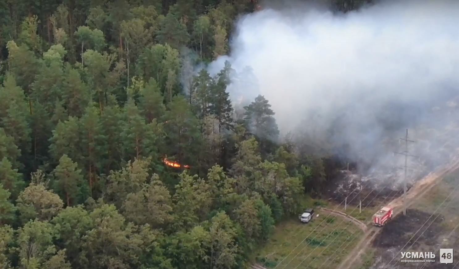 В Усманском районе продолжают тушить пожар на территории Воронежского биосферно заповедника. Тушению мешает сухой валежник.