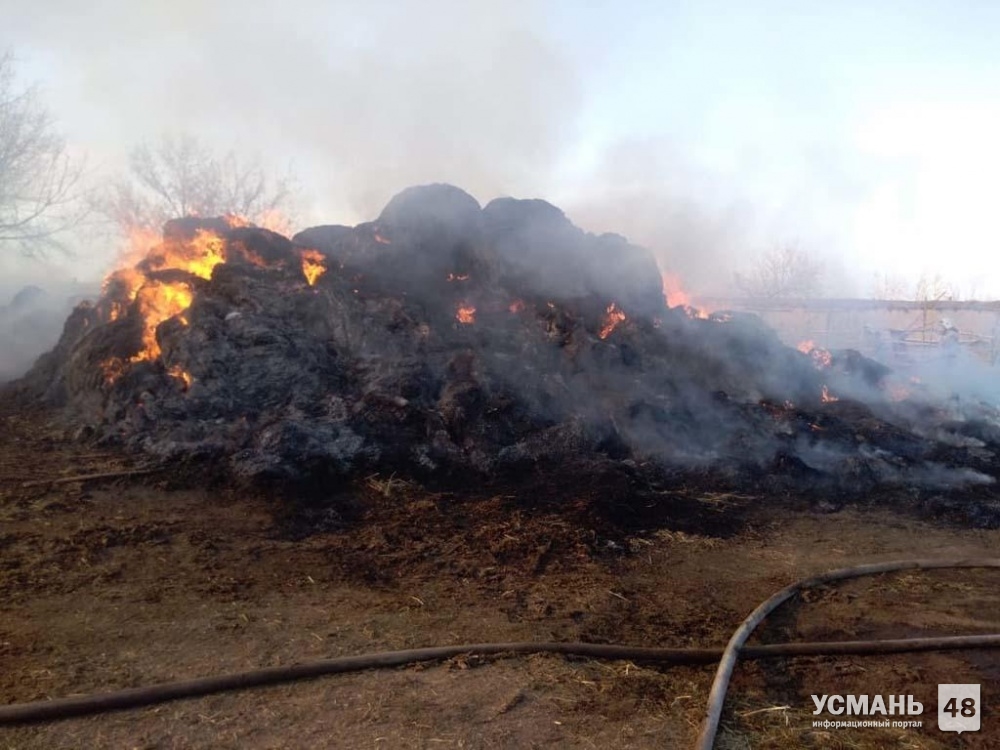Сотрудниками полиции в Усманском районе раскрыт поджог сена