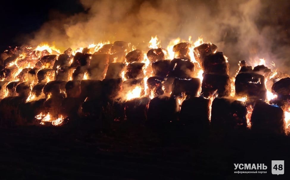 В Грачевке сгорело 90 тонн сена