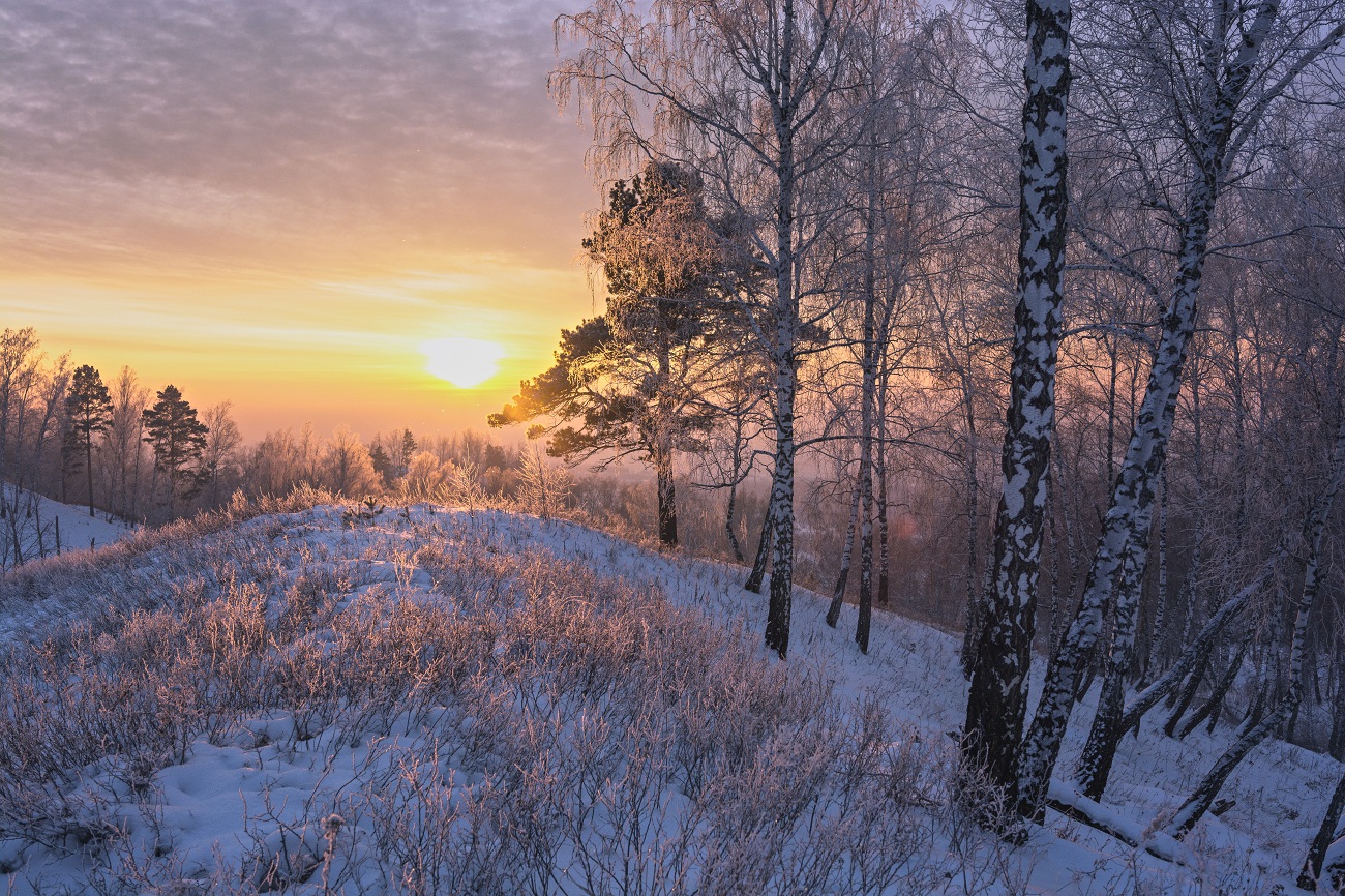В Липецкой области резко похолодает до 17 градусов мороза.
