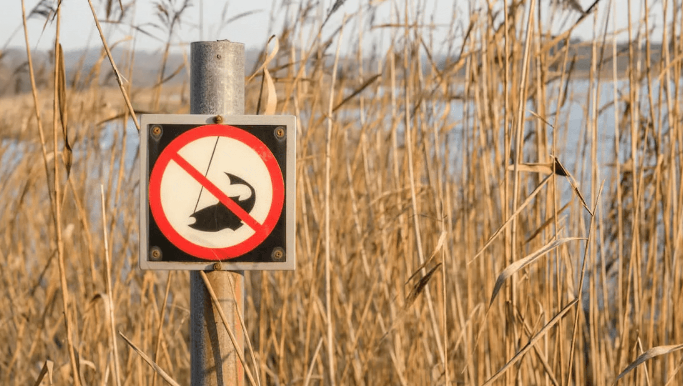 Ограничения на рыбалку вводятся в Липецкой области.