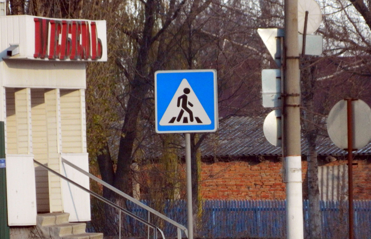В Липецкой области проводится мероприятие по предотвращению гибели пешеходов