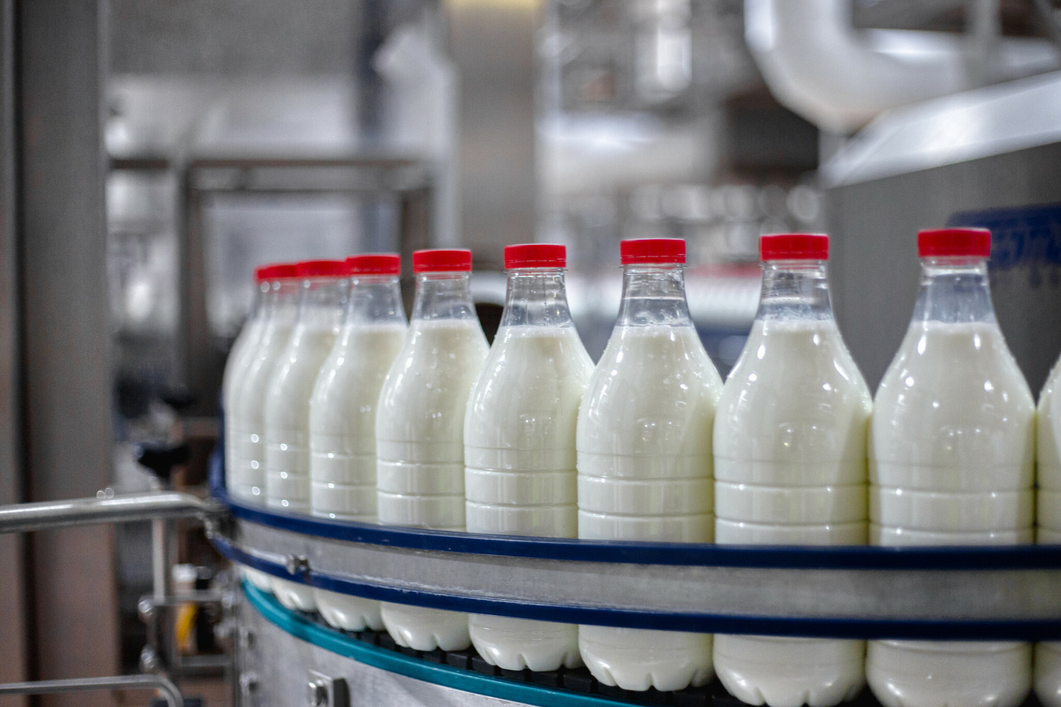 В Усманском районе молокозавод разорился с долгами в 319 миллионов рублей.