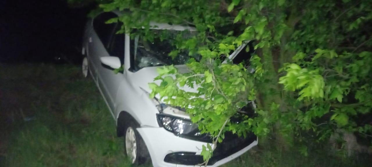 В Усманском районе девушка на «Гранте» врезалась в дерево. В ДТП пострадали водитель и ее пассажирка.