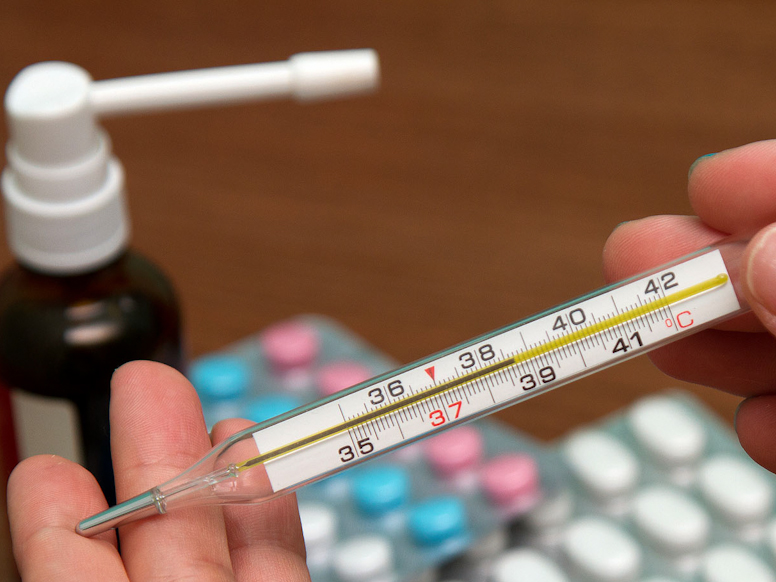 Заболеваемость гриппом за неделю в Липецкой области выросла на 22,4%.