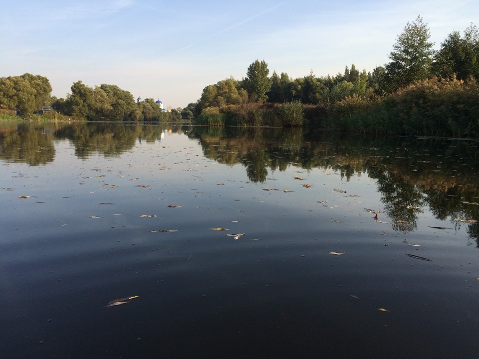 После проведения очередного исследования, в реке Усманка, обнаружили возбудителей кишечных инфекций.