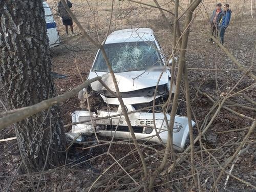 В Усманском районе угонщик «Рено» врезался в дерево и бросил машину.