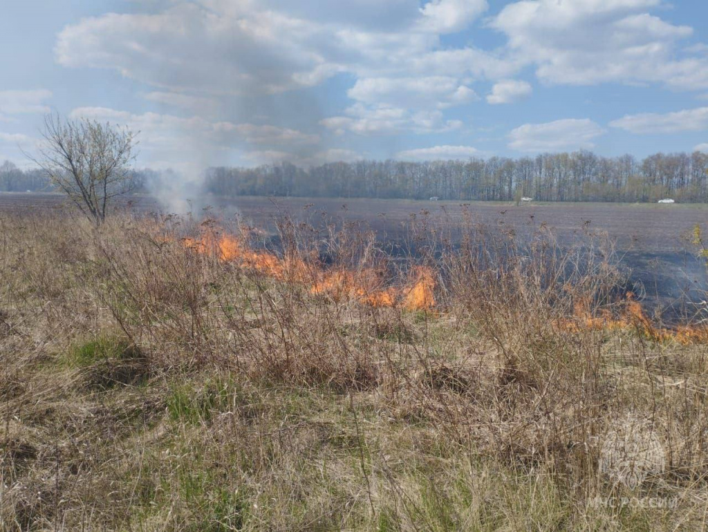 Больше половины пожаров за минувшие выходные - возгорания сухой травы и мусора.