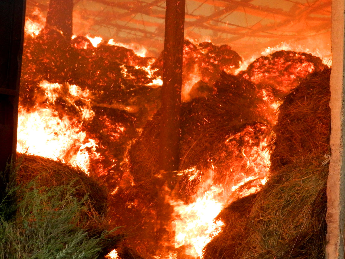 В Усманском районе пожаром уничтожено 5 тонн сена