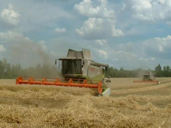 Аграрии Липецкой области собрали почти 1 млн тонн зерна