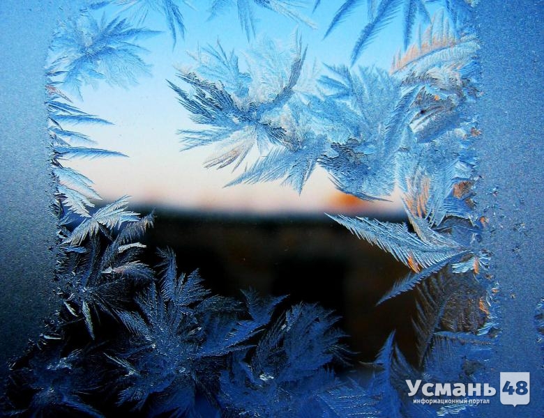 В Липецкой области синоптики ожидают до 24 градусов мороза