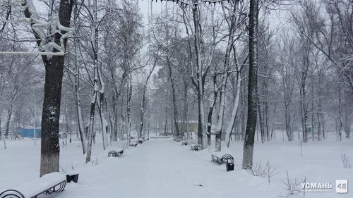 Городской парк, снегопад