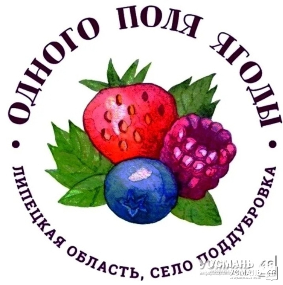 Ооо ягодка. ООО ягодные поля Усмань. Логотип ягода. Логотипы ягодных ферм. Логотип ягодной компании.
