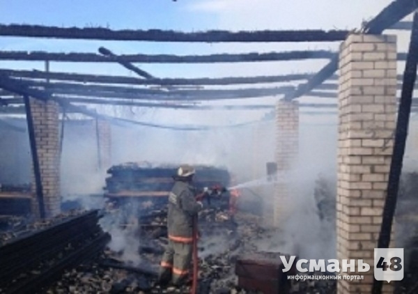 В Усманском районе сгорела пилорама