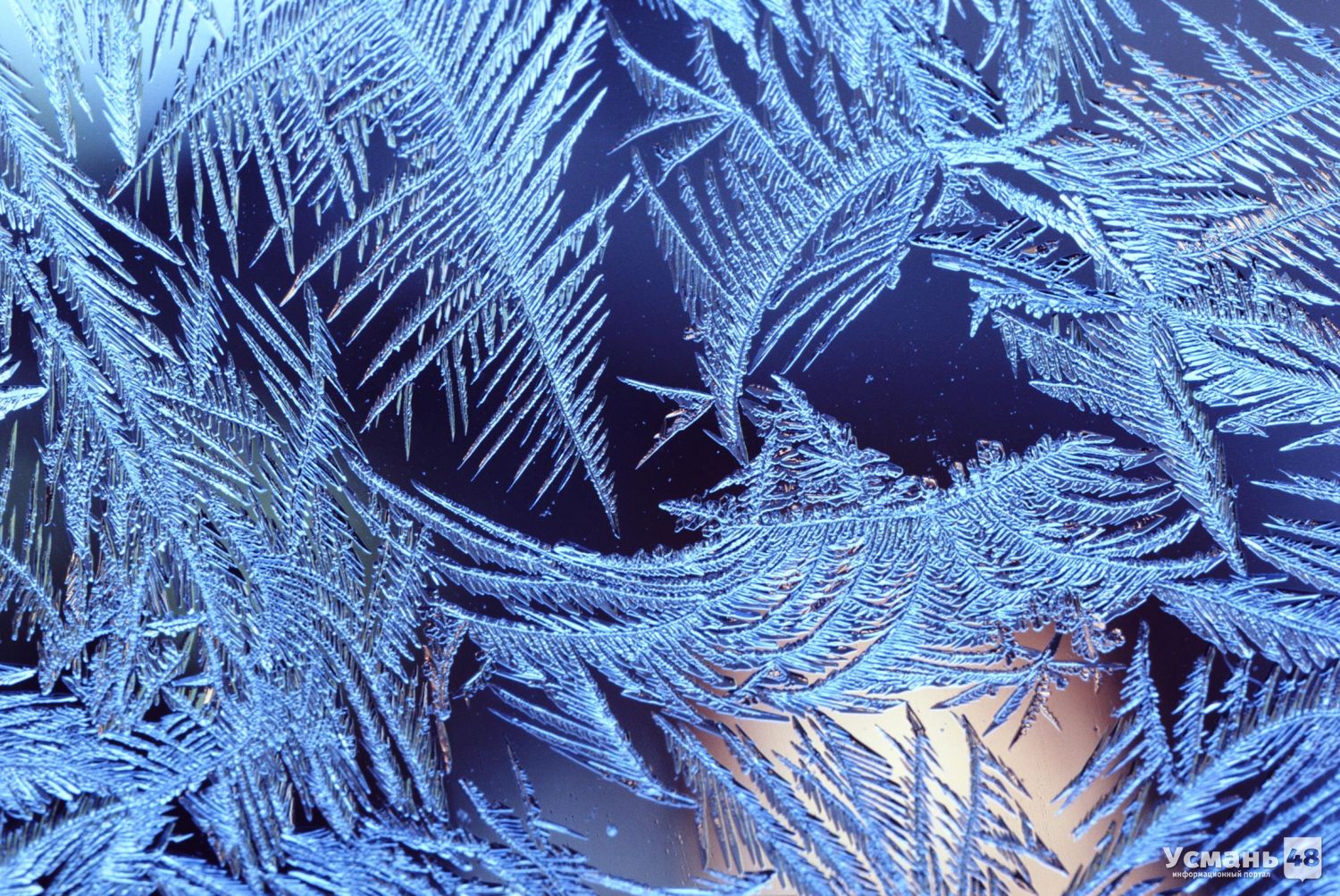 В Липецкой области снегопады