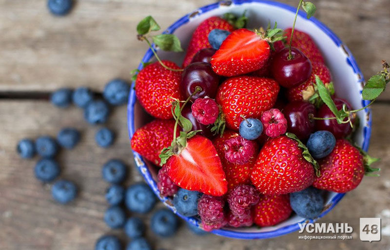 ООО «Ягодные поля» приступили к подготовке строительства в Усманском районе завода полуфабрикатов за 1 млрд рублей