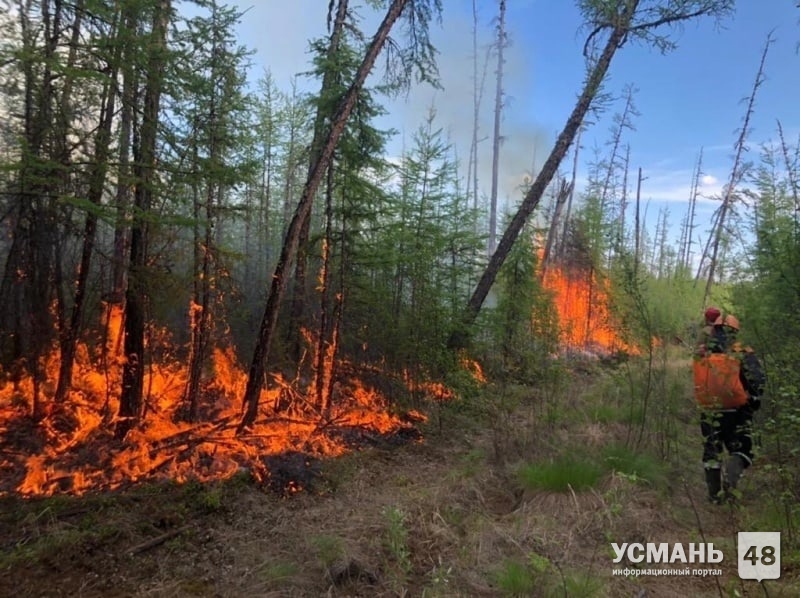 Жителей с. Беляево Усманского района могут эвакуировать из-за пожара
