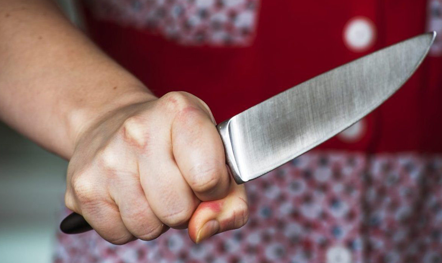 49-летняя жительница села Терновка зарезала 38-летнего сожителя из-за ревности.