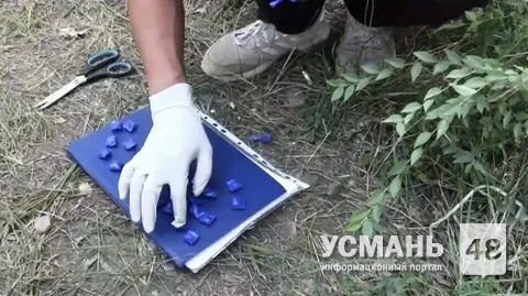 23-летний закладчик получил 10 лет колонии строгого режима