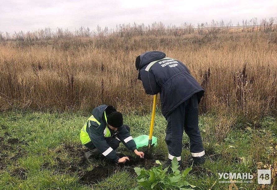 Превышение азота на 268 кв м нашли в тепличном комплексе