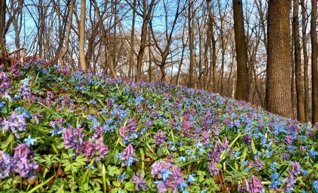 В Липецкой области до +18