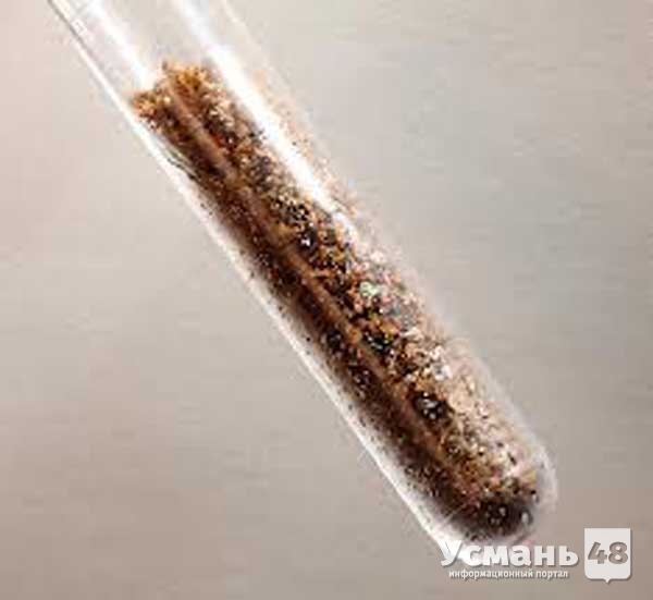 Результаты замера проб почвы взятых в Усманском районе показали что радиационный фон соответствует санитарным нормам.