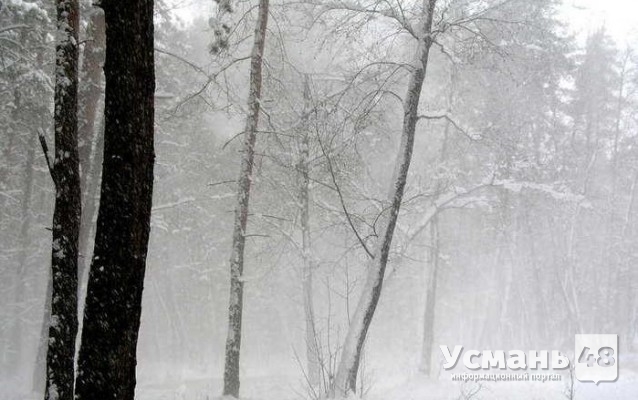 В Липецкую область придут метели и снегопады
